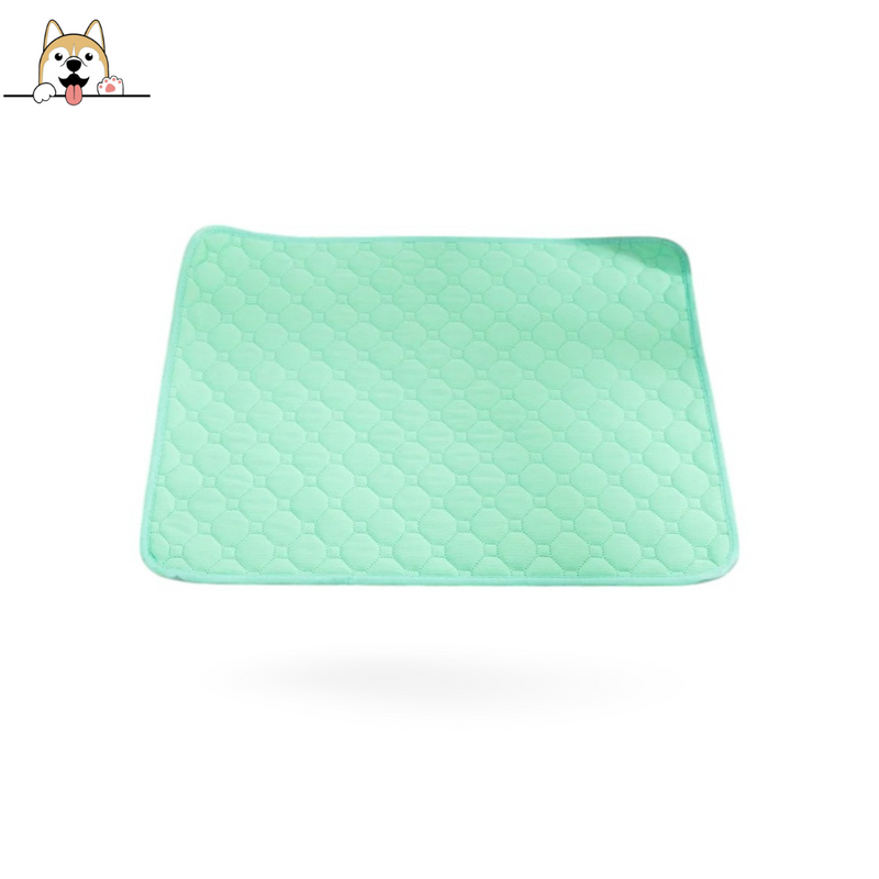 Reusable Absorbent Pet Mat