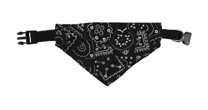 Coleira Bandana