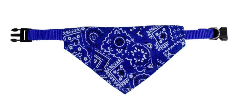 Coleira Bandana