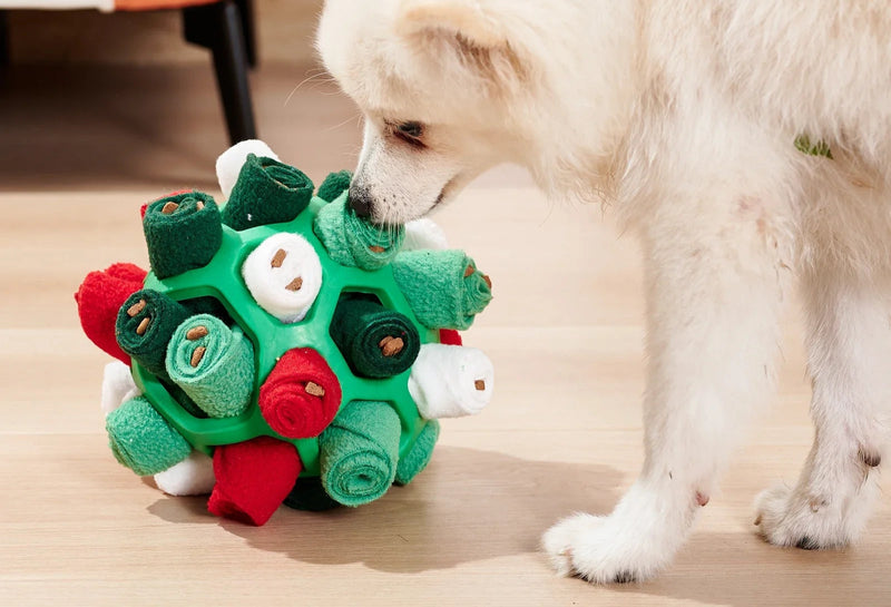 Brinquedo Alimentador Bola de Cheirar para Cães