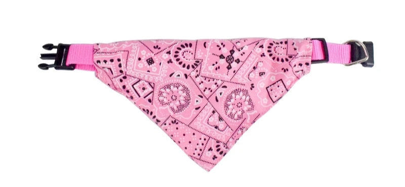 Coleira Bandana