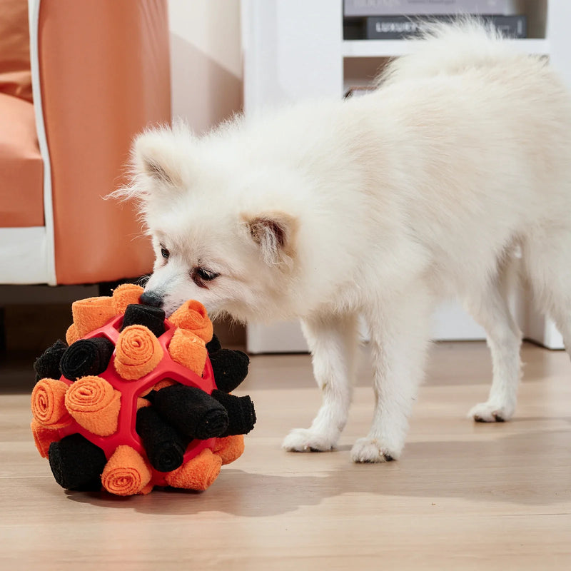 Brinquedo Alimentador Bola de Cheirar para Cães