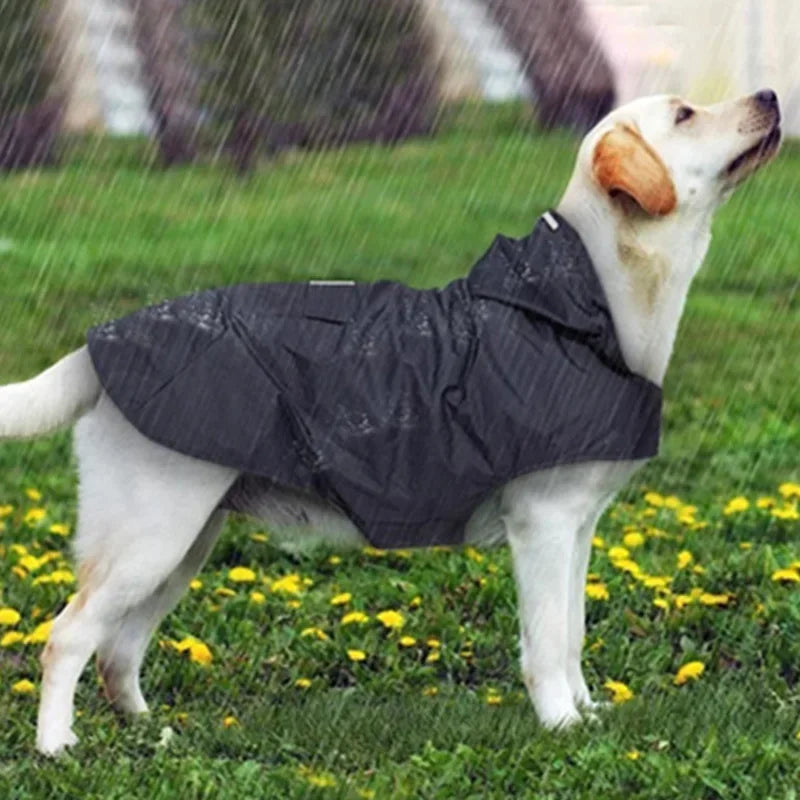 Capa de chuva para animais de estimação