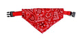 Coleira Bandana